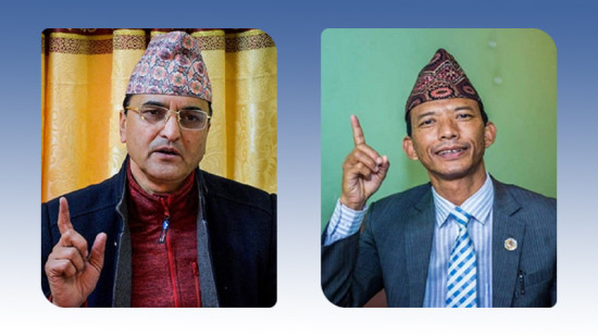 योगेशलाई मेटमणिको प्रश्‍न- संसदीय छानबिन समिति अनुसन्धान प्रभावित गर्न हो?